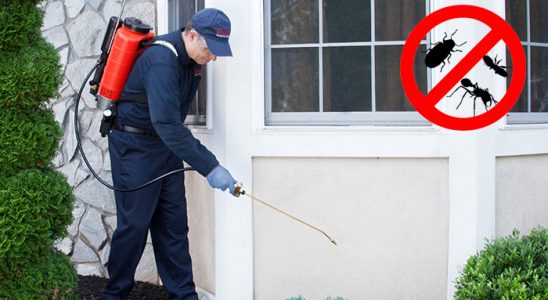 Taraklı Karınca İlaçlama böcek ilaçlama ve haşere kontrolü — ilaclama-tr.com